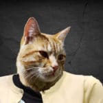 Cat head on woman's body.