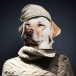 SquirrelLipsPaul 1 e1509201621527