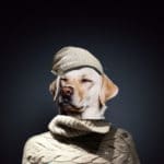 Dog head on a mans body.