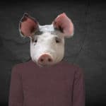 Pig head on man's body