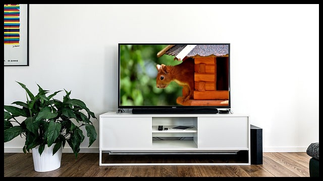 Squirrel Lips - World's Greatest Animal News Source
