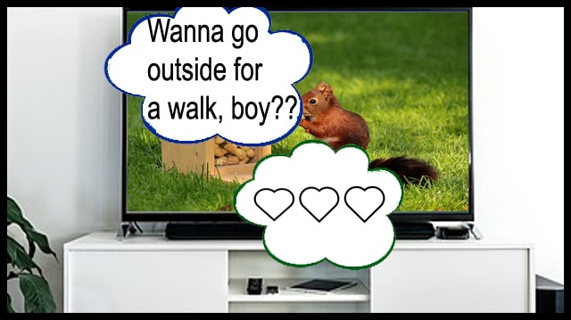 Squirrel Lips - World's Greatest Animal News Source