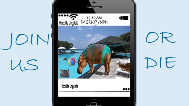 Hippopotamus wearing a bikini by a swimming pool.