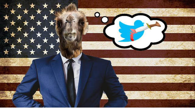Parody of President Trump using a camel in a suit in front of USA flag.
