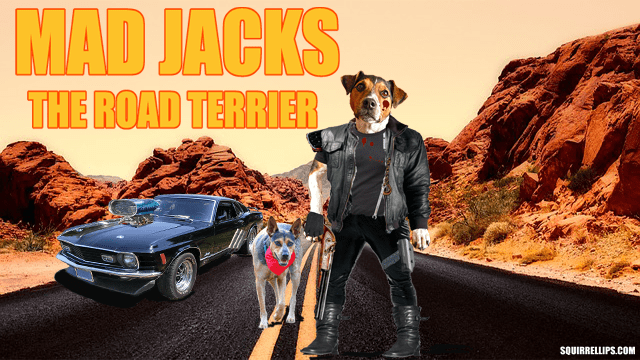 Terrier dog playing Mel Gibson's Mad Max.