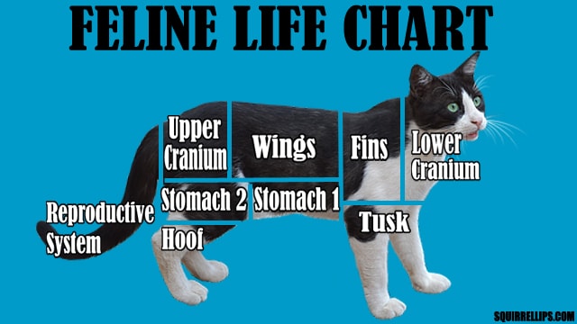 Most Cats Only Have Seven Lives According To New Study 2 Funny parody of a cow chart using a cat.