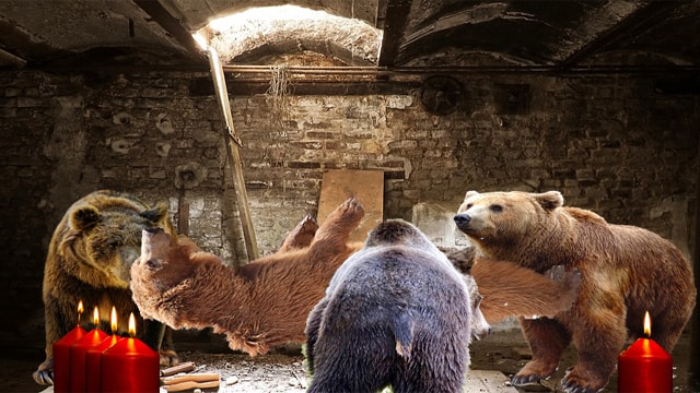 Are You Mad? Top 3 Signs You Have The Rabies Virus 4 Three brown bears using magic to levitate another bear.
