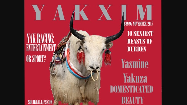 Funny Maxim magazine parody with a yak on cover modeling.