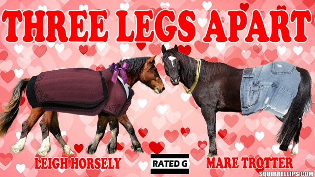 Parody movie poster starring two horse in romantic drama.