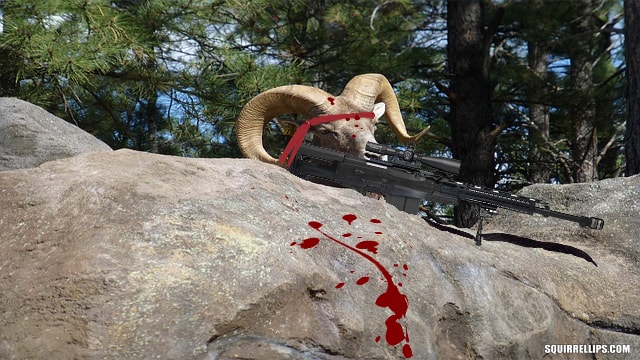 Sty Stallone Takes On Mexican Chihuahuas In Next Rambo Movie 2 Parody of Rambo showing a ram shooting a gun from atop a mountain.