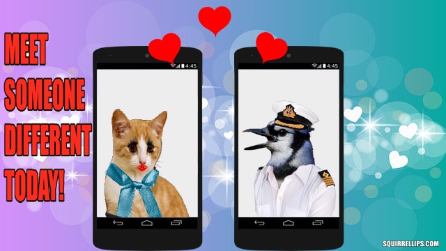 Dating site parody with a cat and bird falling in love.