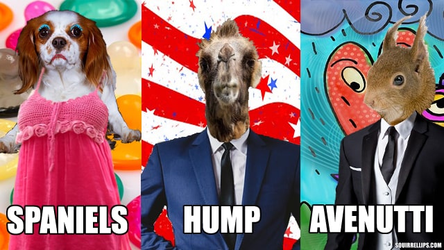 Parody of Donald Trump, Stormy Daniels, and Michael Avenatti using animals.
