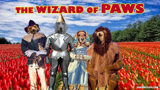 Parody of The Wizard of Oz with an all dog cast.
