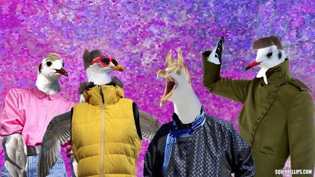 Parody of 80's band A Flock of Seagulls with real seagulls.