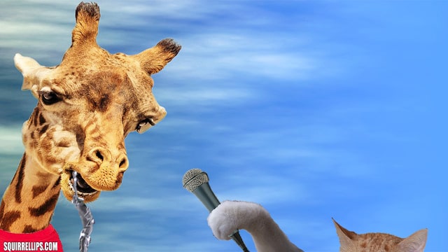 What's Your New Year's Resolution? 2 Red cat interviewing a drooling giraffe.