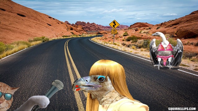 What's Your New Year's Resolution? 3 Red cat interviewing a vulture wearing blond wig in the desert.