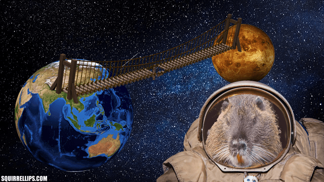 Muskrat wearing space suit drifting in outer space.