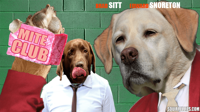 Fight Club parody with two dogs wearing clothes against green wall.