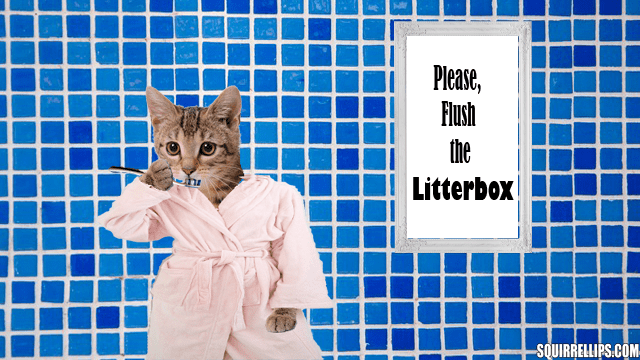 Cat wearing pink bathrobe brushing teeth.