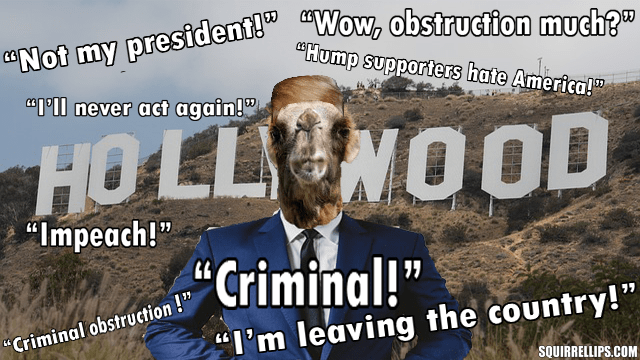 Camel wearing blue suit against Hollywood Hills background.