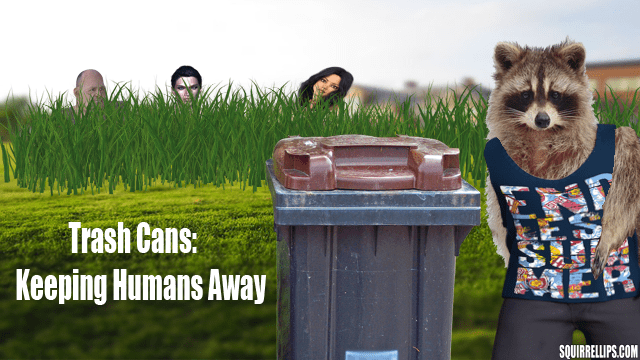 People behind grass watching a raccoon near a blue trash can.