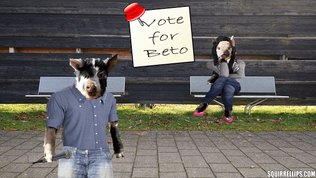 Parody of Beto O'Pork with him as a pig and his pig wife sitting on bench.