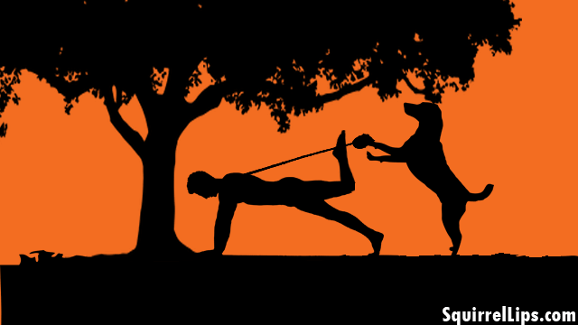 Dog walking a man on a leash at sunset.