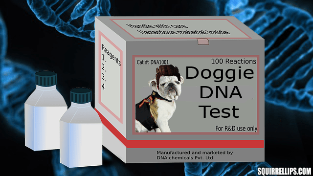 Walgreens dog DNA testing kit.