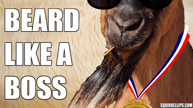 Brown goat with long beard wearing Olympics gold medal.