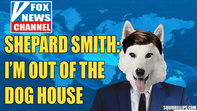 Parody of Fox News host Shepard Smith as a White German Shepherd wearing suit.
