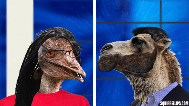 Animal parody with Whoopi Goldberg as a bird and Donald Trump Jr. as a camel on blue screen.