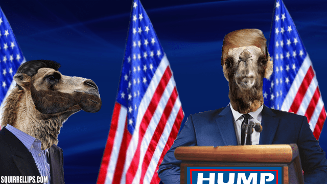 Animal parody with Donald Trump and Don Jr. as camels on stage with American flags.