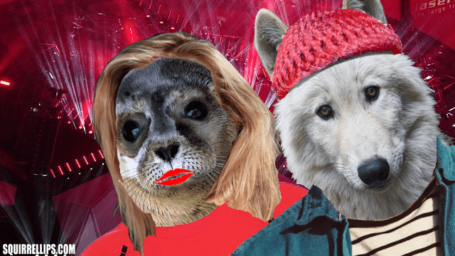 White wolf wearing denim jacket and red cap standing near white seal wearing red sweater.