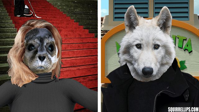 White wolf wearing black jacket standing next to white seal wearing black shirt.