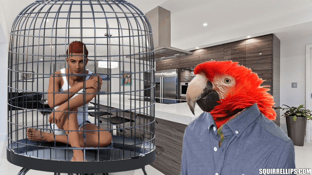 Red macaw in blue shirt watches man inside bird cage.
