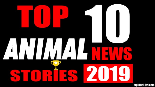 Red and white top news words against black background.