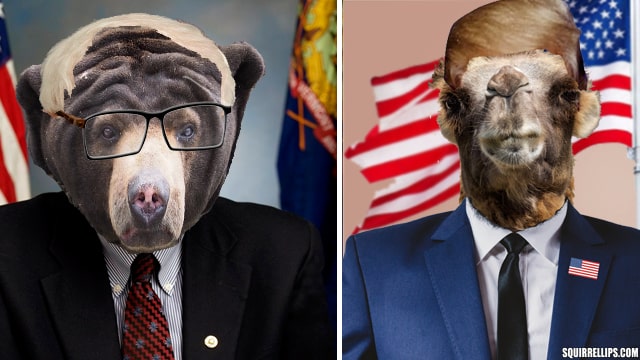Bear and camel wearing business suits and ties.