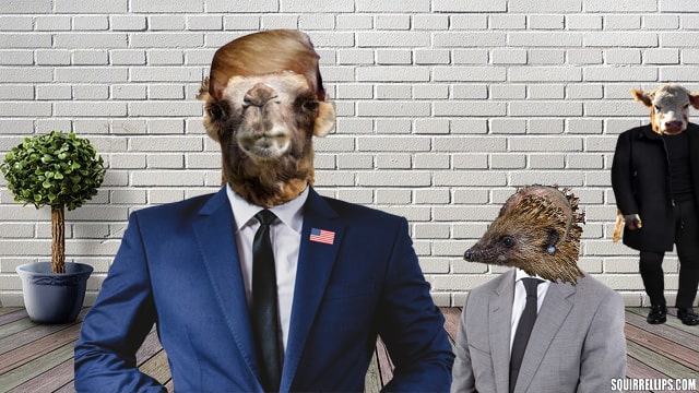 Camel and hedgehog wearing suits inside a white brick room.