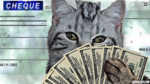 Gray cat holding US 100 dollar bills.