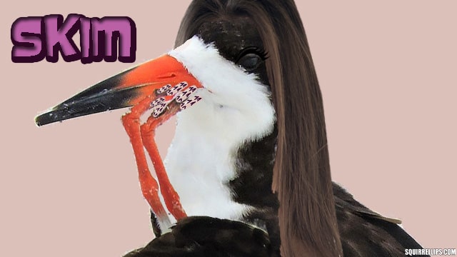 Skimmer bird with long black hair against purple background.