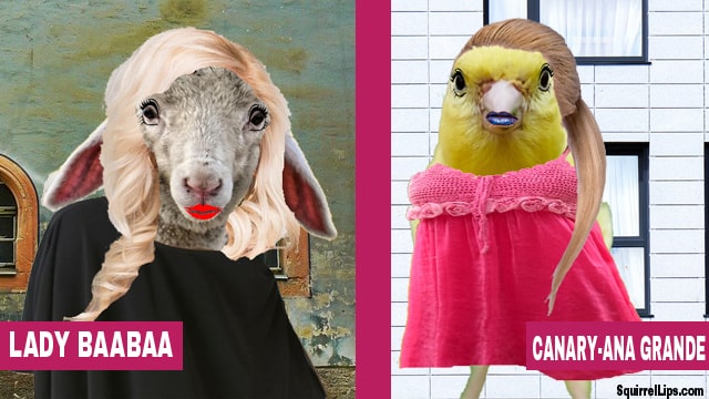 Sheep wearing black dress and blonde wig with yellow canary wearing pink dress.